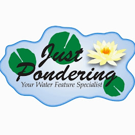 Cover photo of Just Pondering